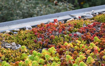 the cost of Cerrigceinwen green roof installation
