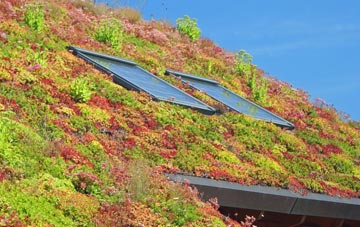 Cerrigceinwen living roof systems